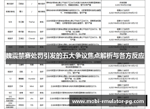 魏震禁赛处罚引发的五大争议焦点解析与各方反应 魏震禁赛处罚引发的五大争议焦点解析与各方反应