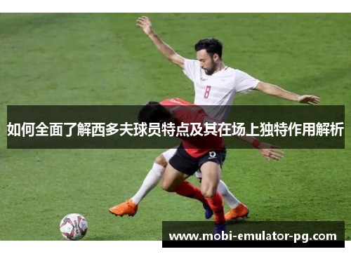如何全面了解西多夫球员特点及其在场上独特作用解析 如何全面了解西多夫球员特点及其在场上独特作用解析