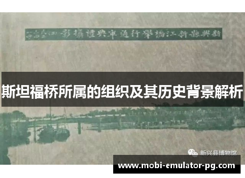 斯坦福桥所属的组织及其历史背景解析