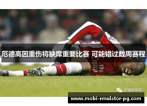 厄德高因重伤将缺席重要比赛 可能错过数周赛程